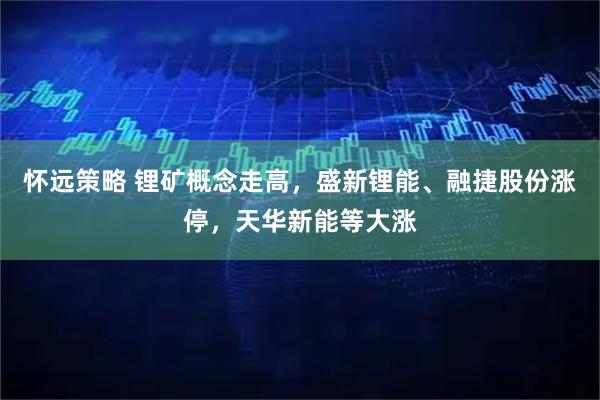 怀远策略 锂矿概念走高，盛新锂能、融捷股份涨停，天华新能等大涨