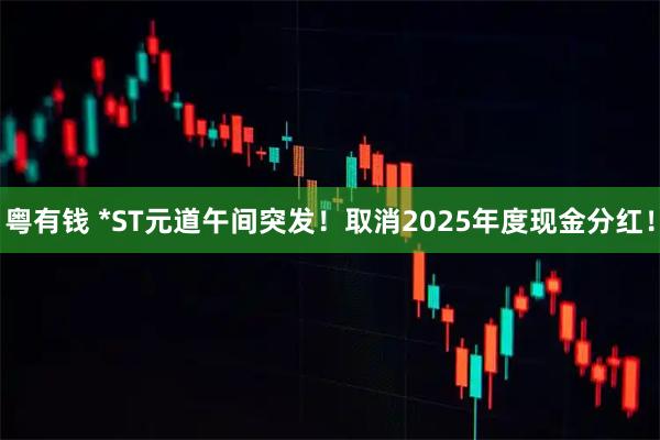 粤有钱 *ST元道午间突发！取消2025年度现金分红！