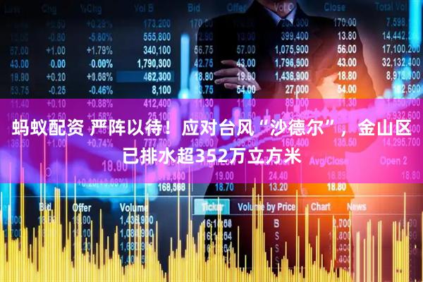 蚂蚁配资 严阵以待！应对台风“沙德尔”，金山区已排水超352万立方米